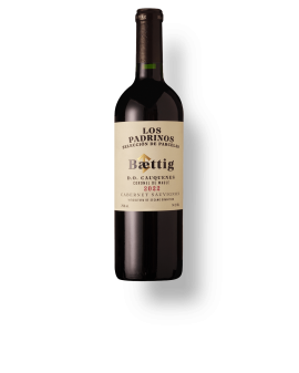 Baettig Selección Parcelas 'Los Padrinos' Cabernet Sauvignon 2024