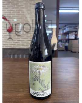 Matias Riccitelli Gualtallary Garnacha 2025